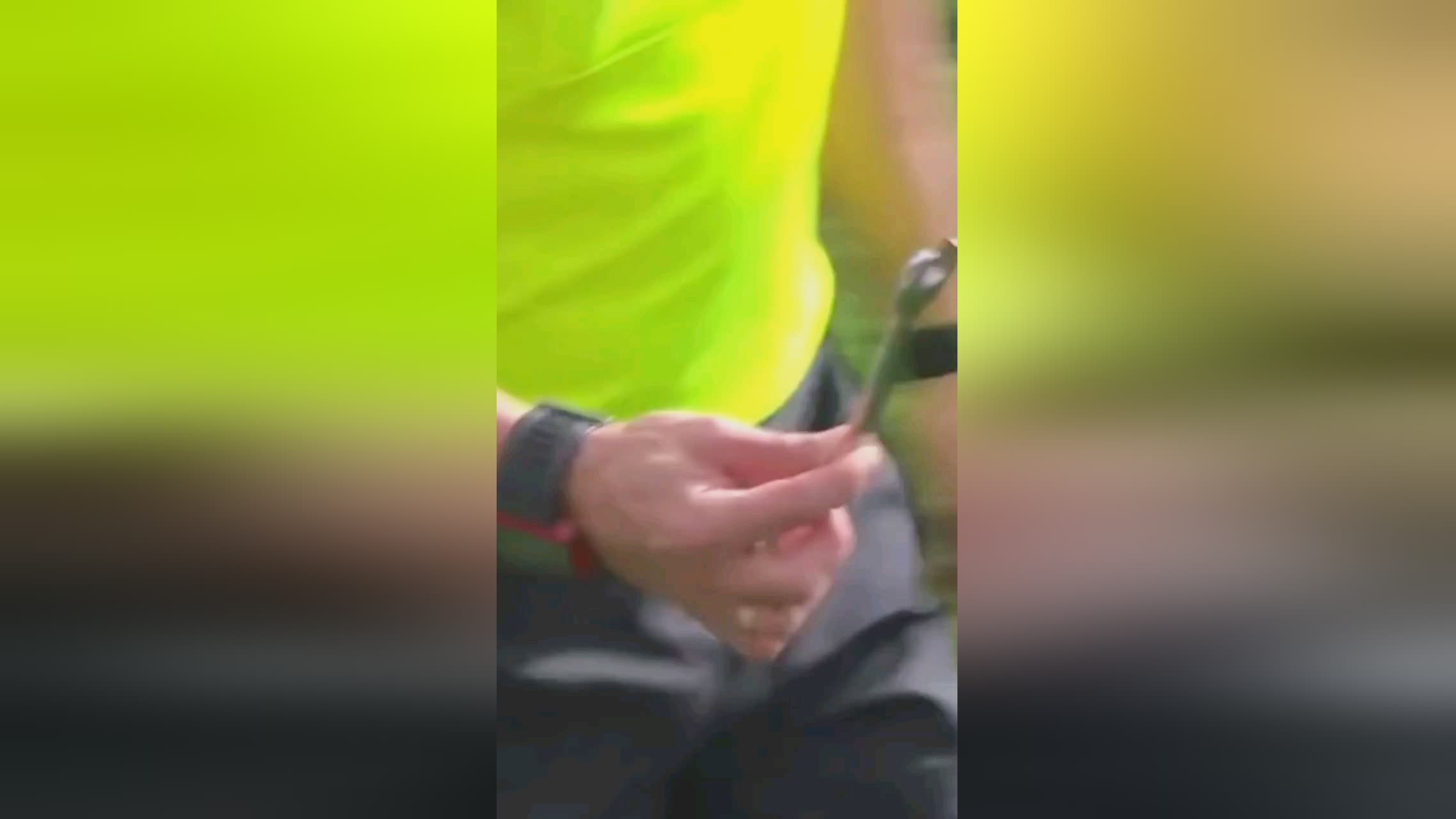斯的动